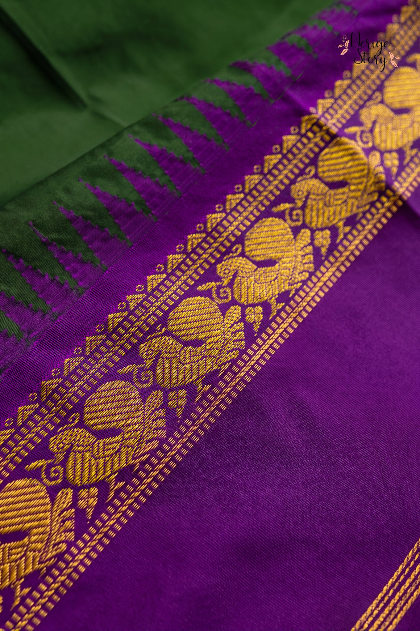 ANUSHA (అనూష)