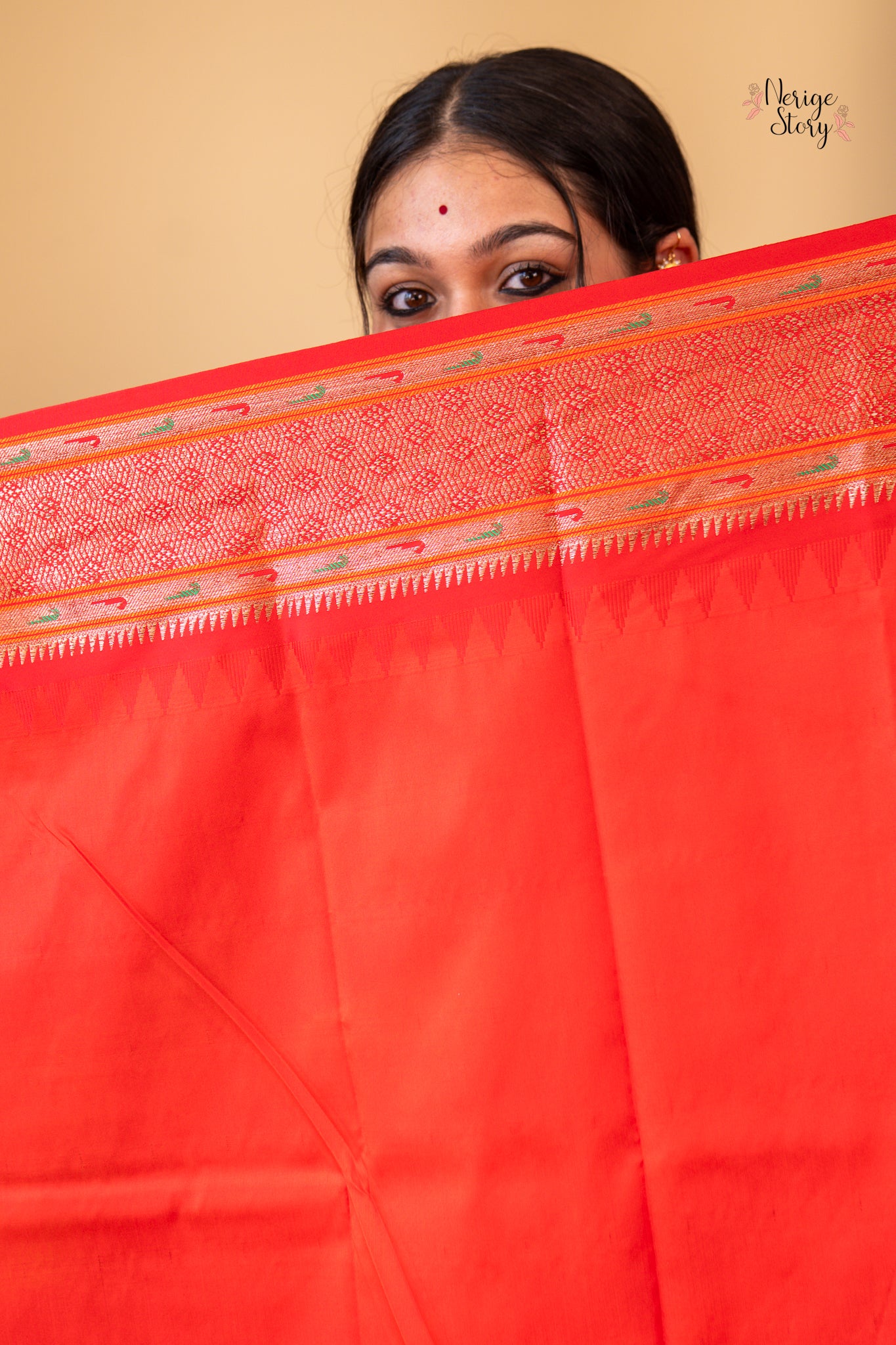 ANANDAMAYI (आनंदमयी)