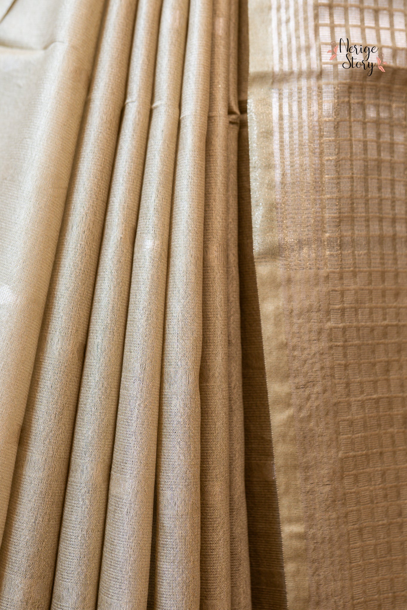 ANANYI (अनन्यी)