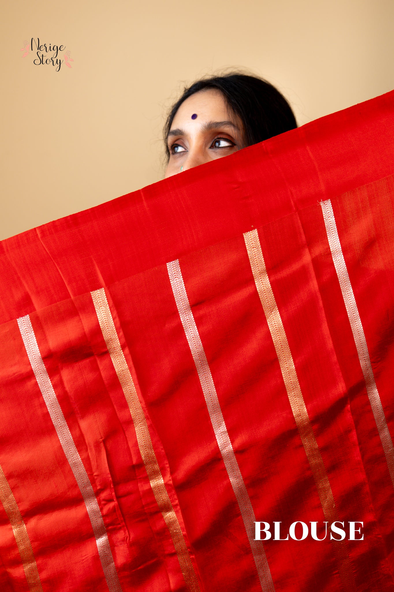 AASHNA (आशना)