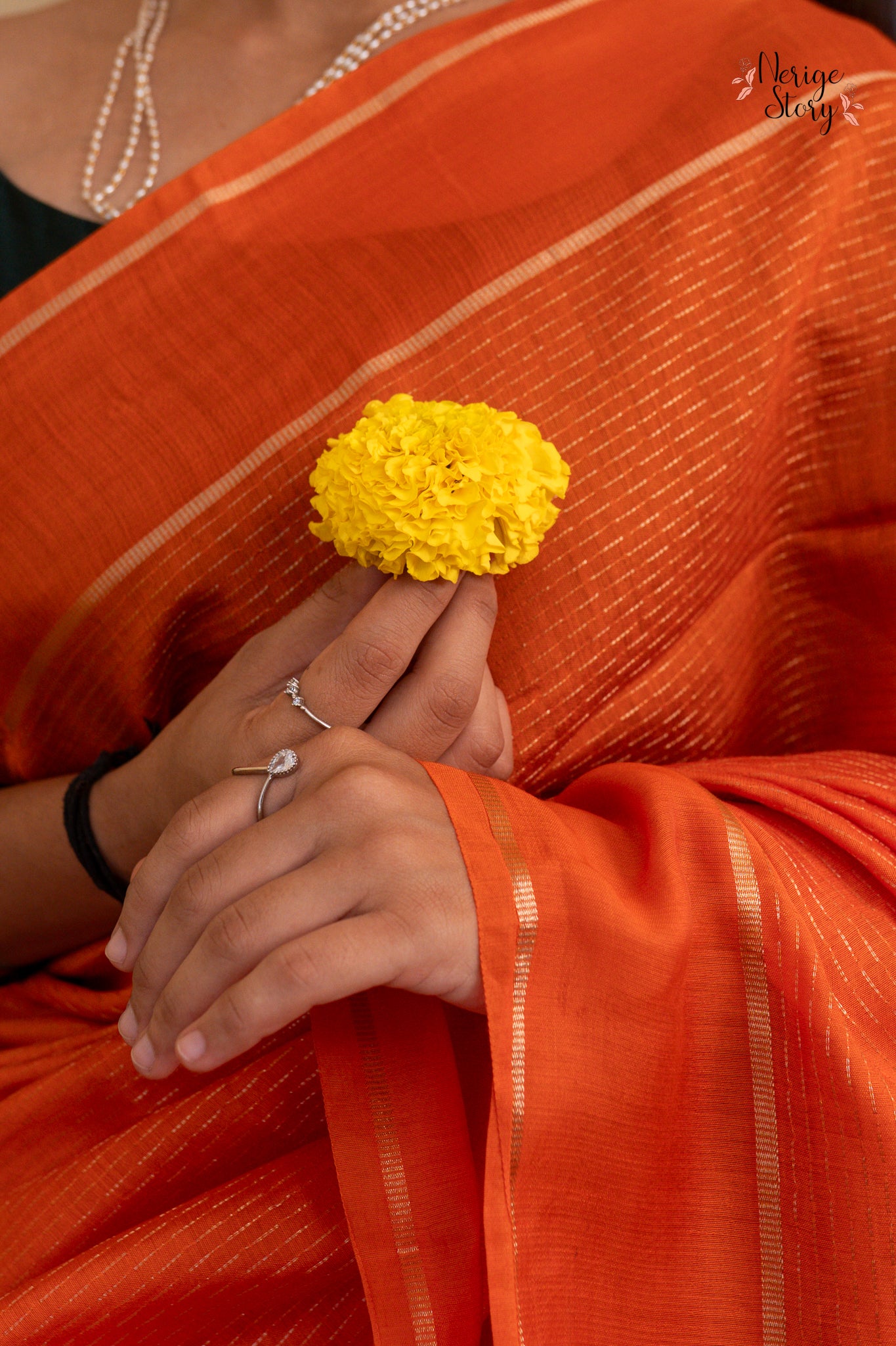 PAVIKA (पविका)