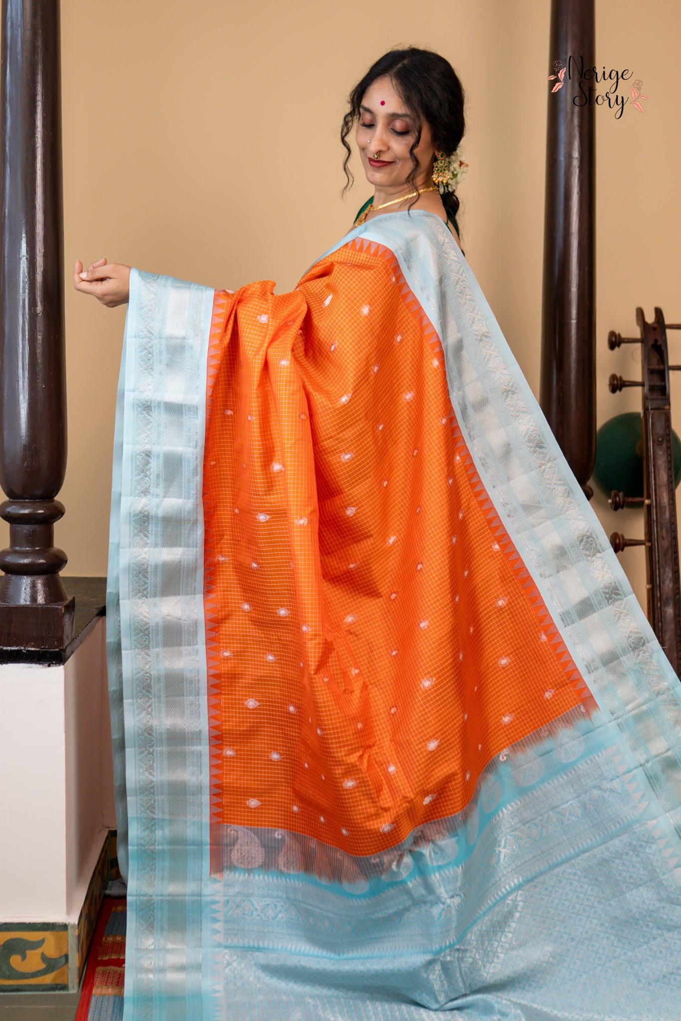 SARVINA (సర్వినా)