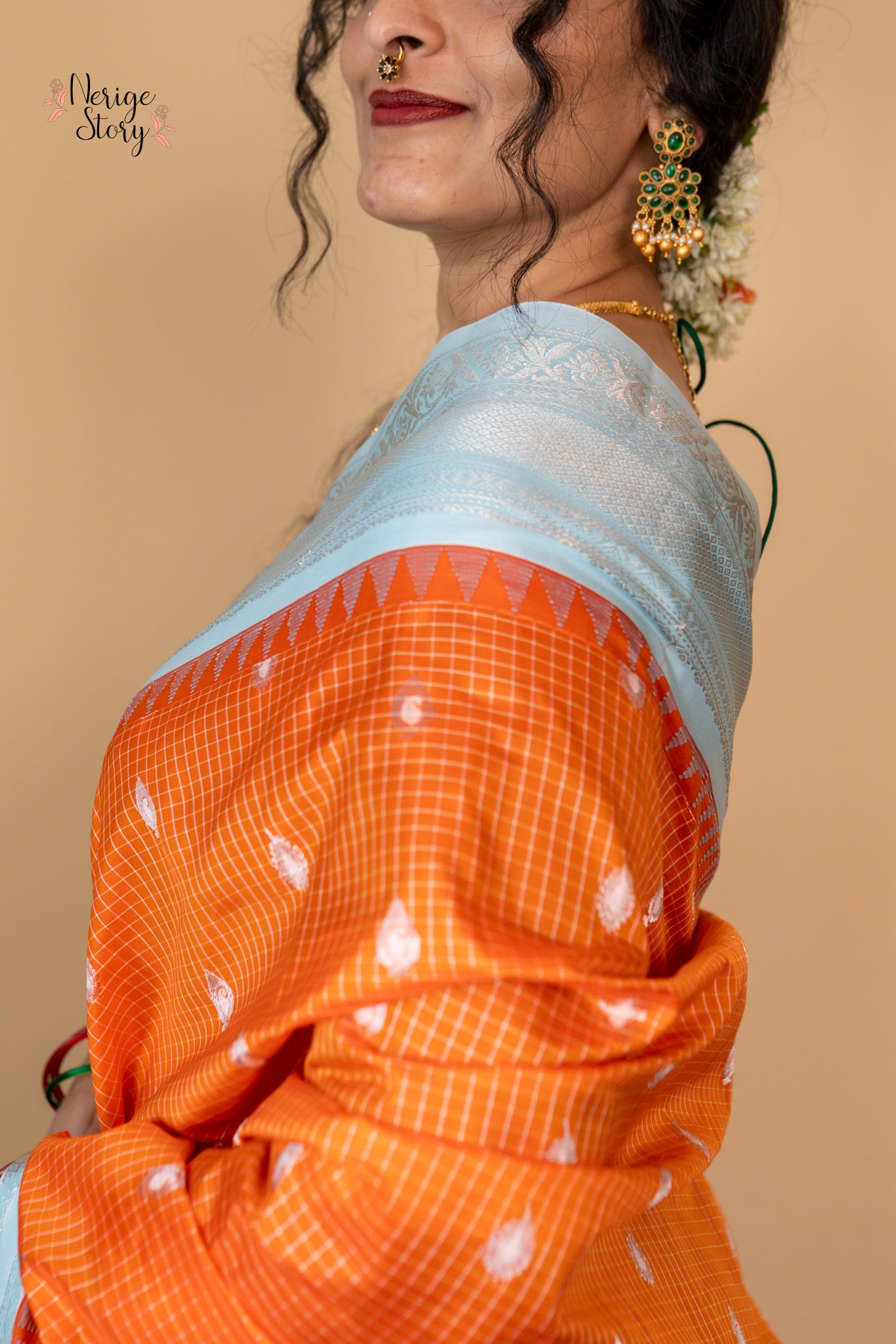 SARVINA (సర్వినా)