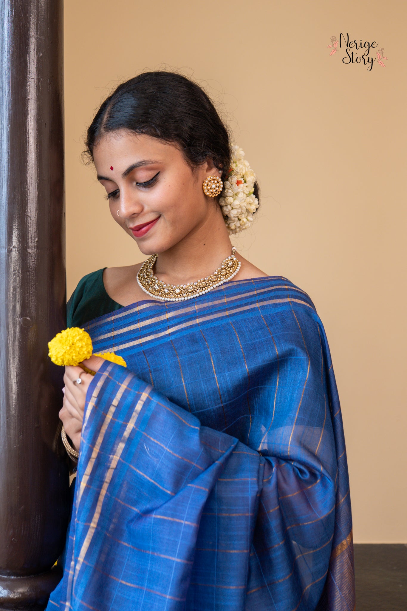 ARSHIA (अर्शिया)