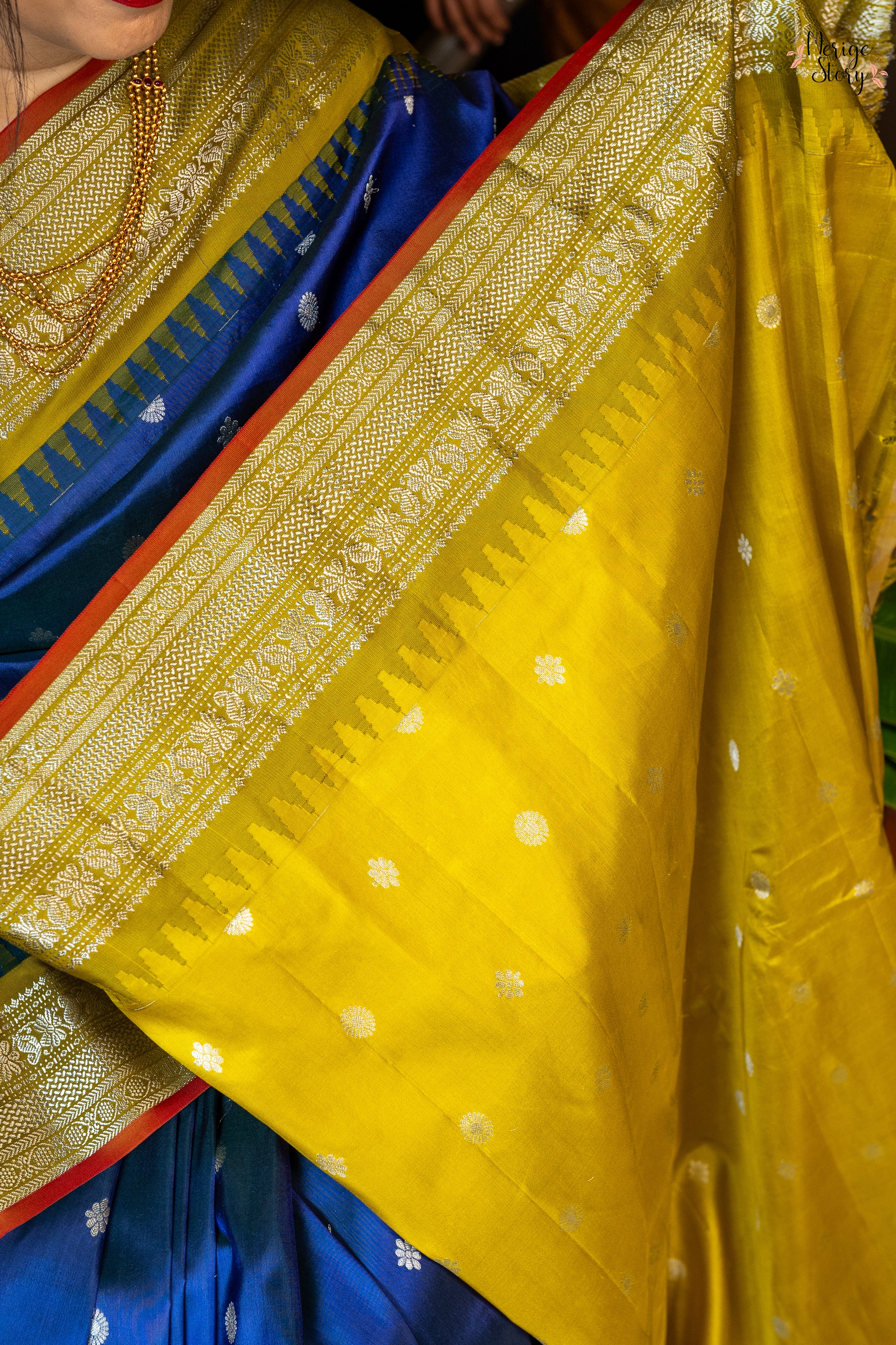 NEELI KALUVA (నీలి కలువ)