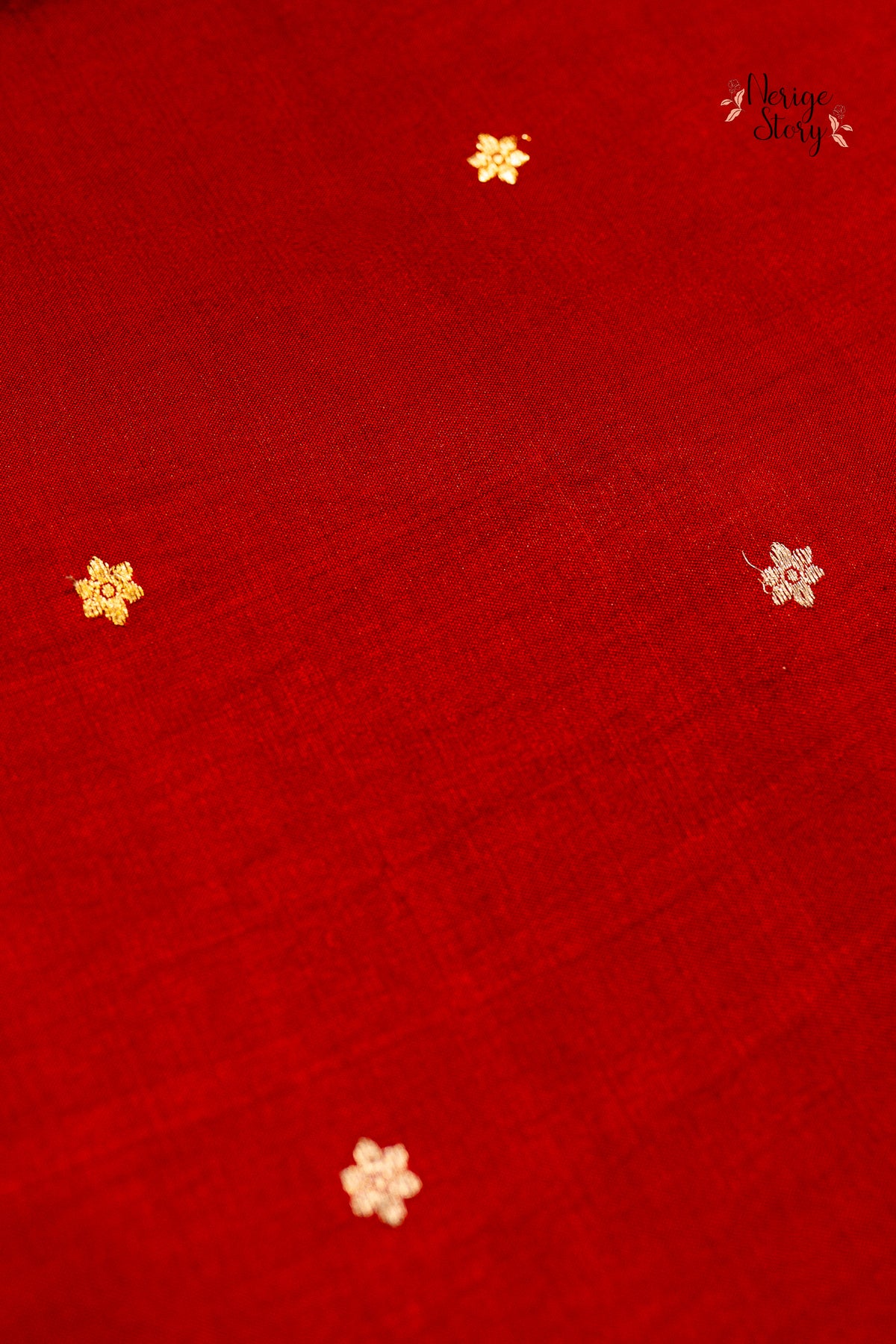 ARIKTHA (अरिक्ता)
