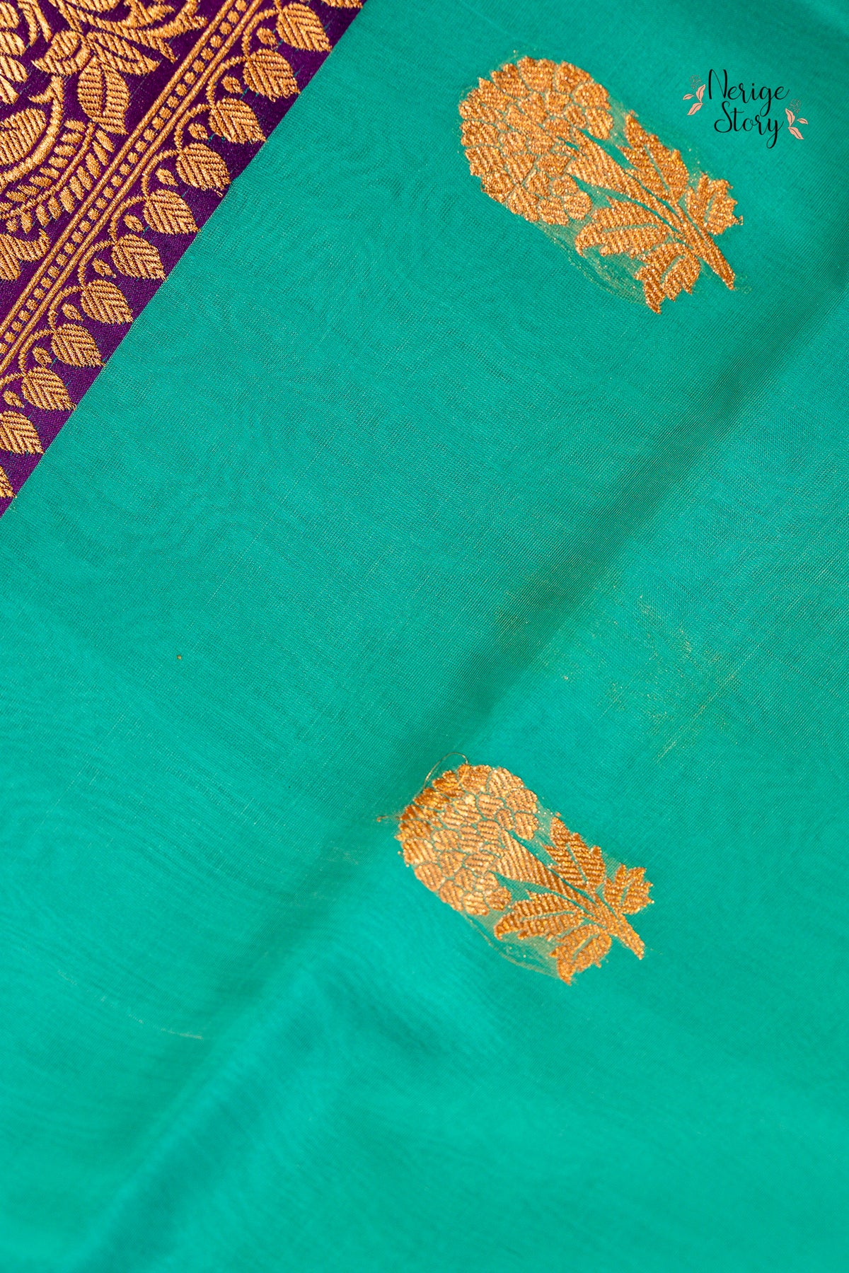 ISHANVI (ईशान्वी)