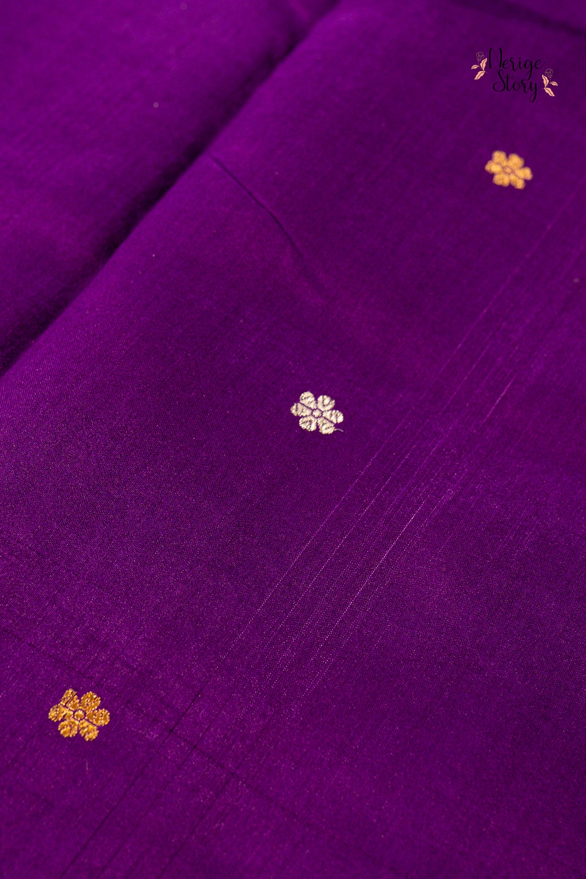 CHITRITA (चित्रिता)