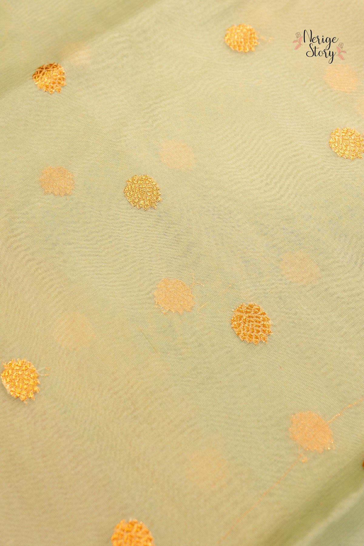 ASLESHA (अश्लेषा)
