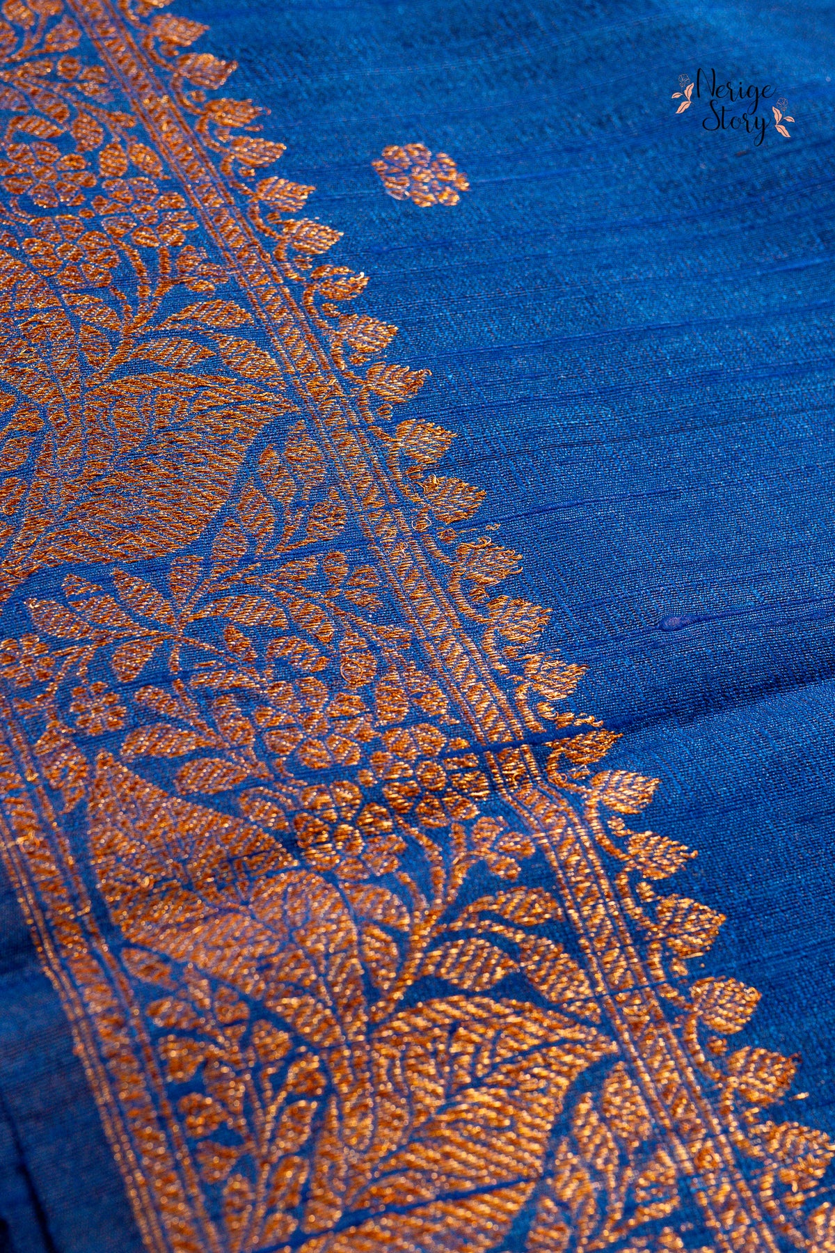 APARNA (अपर्णा)
