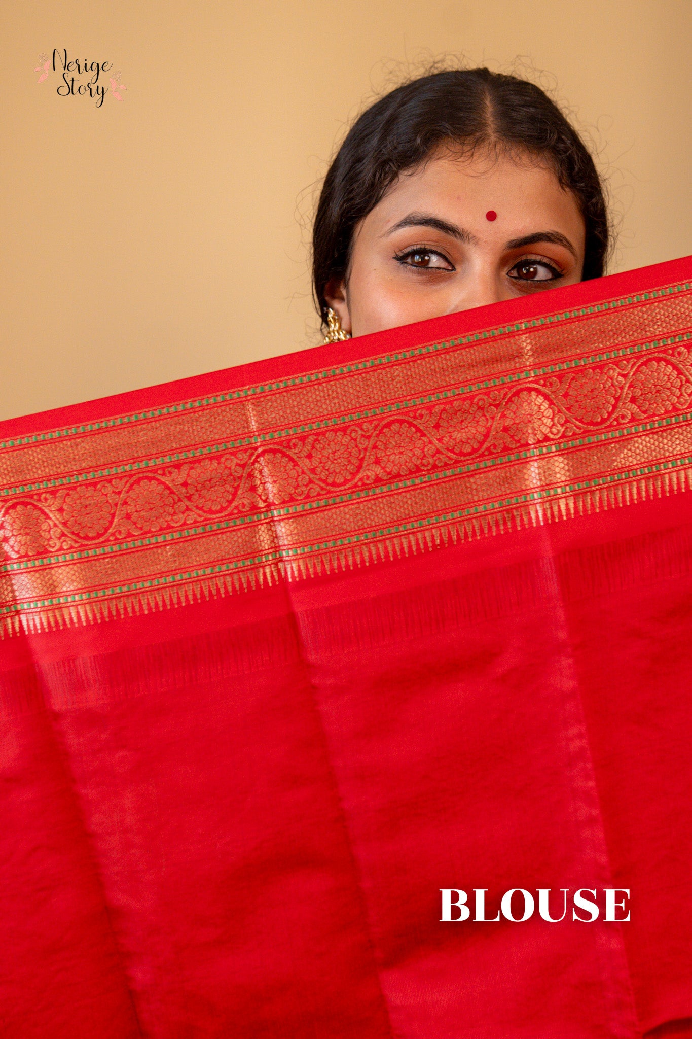 NANDITA (नंदिता)