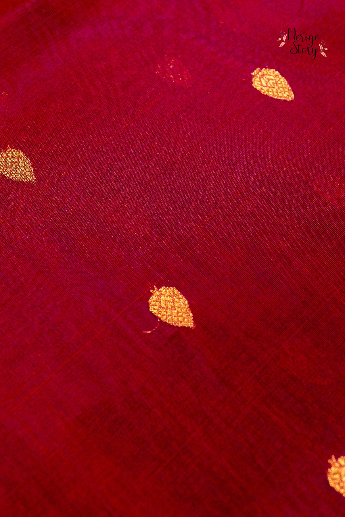 AMOLIKA (अमोलिका)