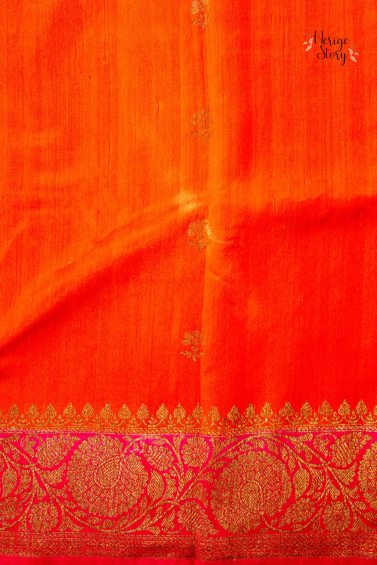 SHUBRANGI (शुभ्रांगी)