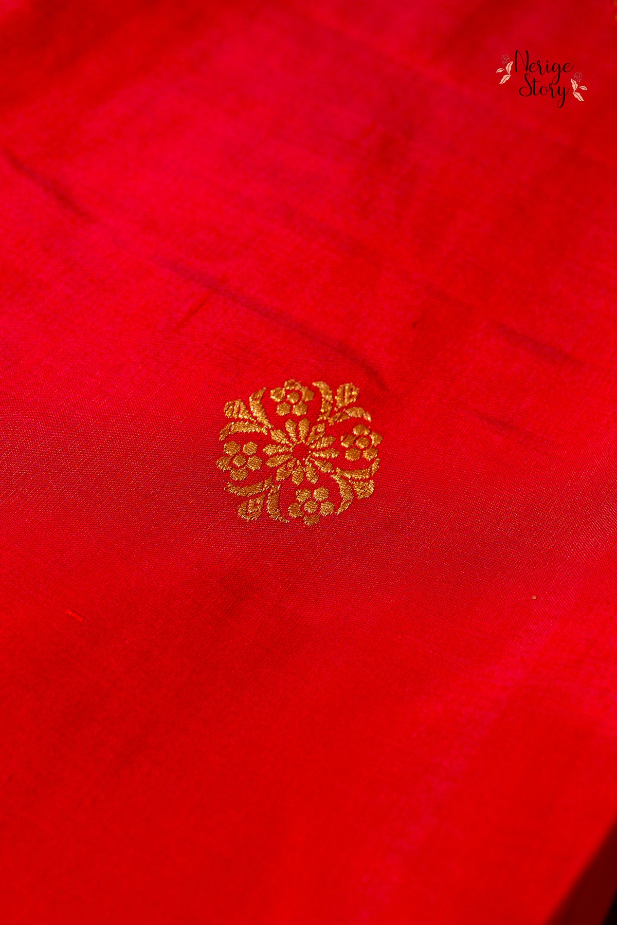 ADRIJA (अद्रिजा)