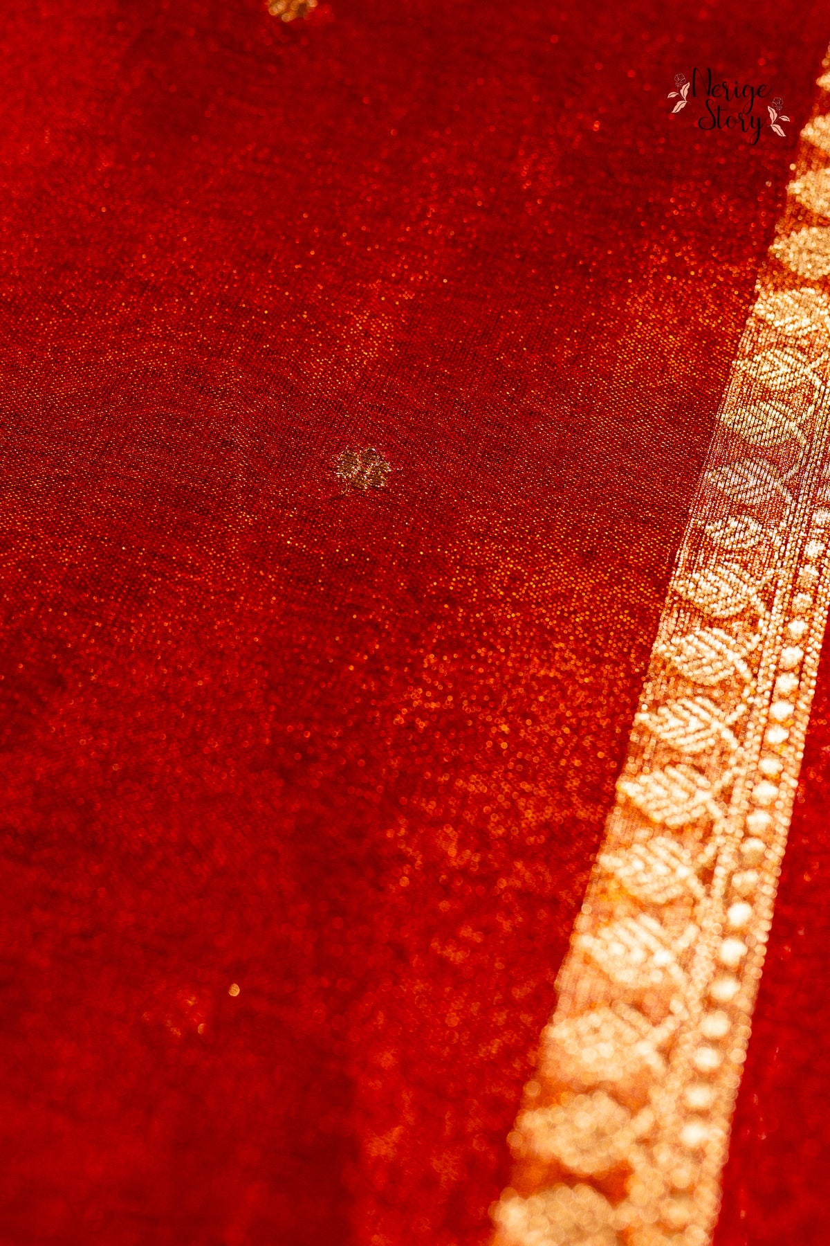 BHARGISHI (भार्गिशी)