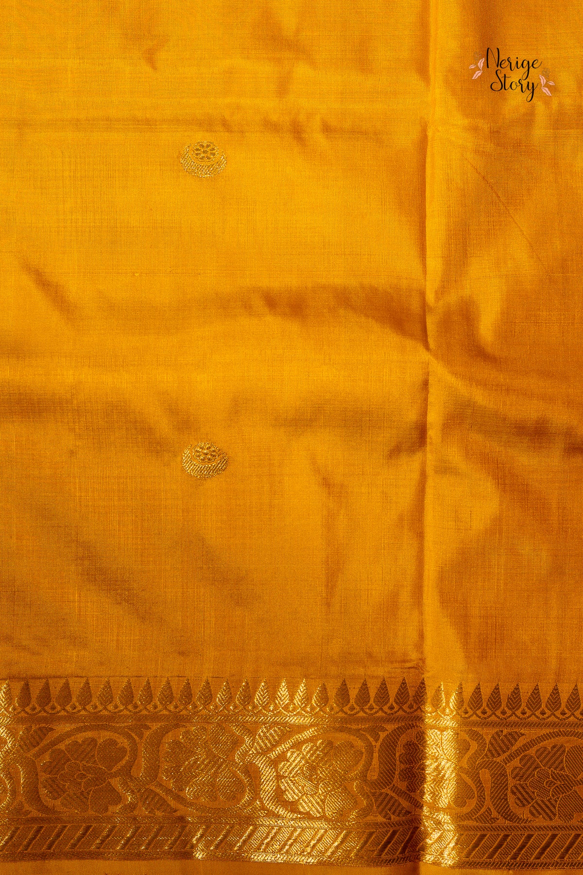 BHAGAVATHI (भगवती)