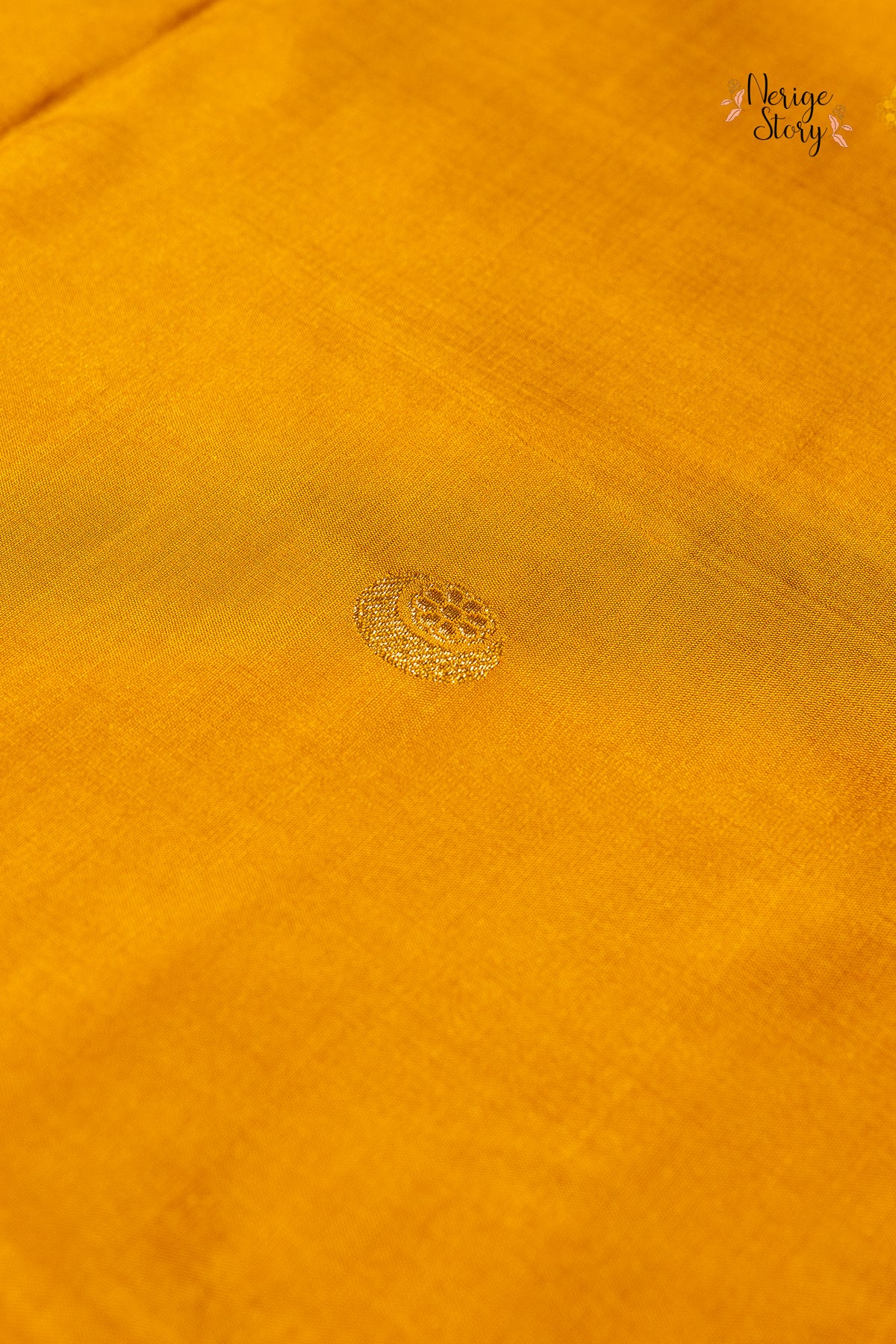 BHAGAVATHI (भगवती)