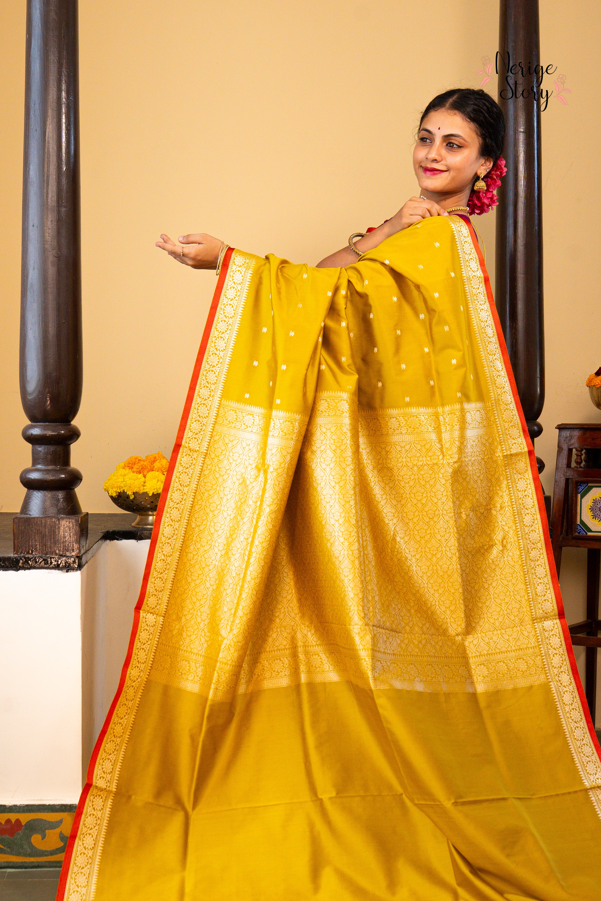 DRONIKA (द्रोणिका)