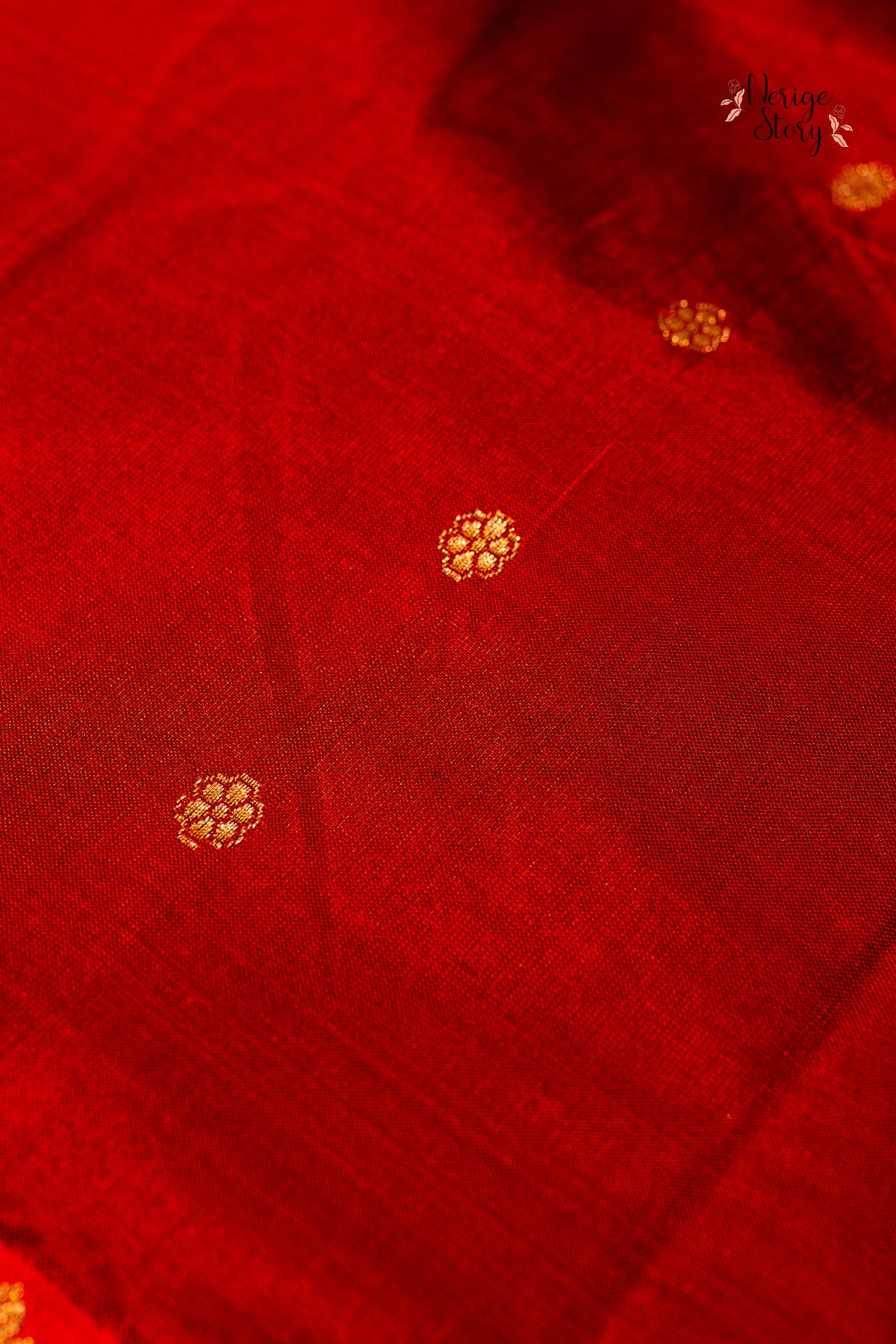 AKSHINI (अक्षिणी)