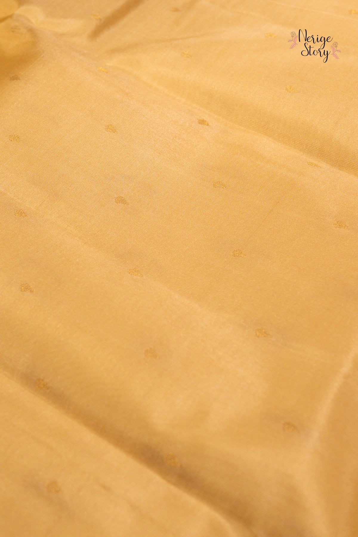 REVA (రేవా)