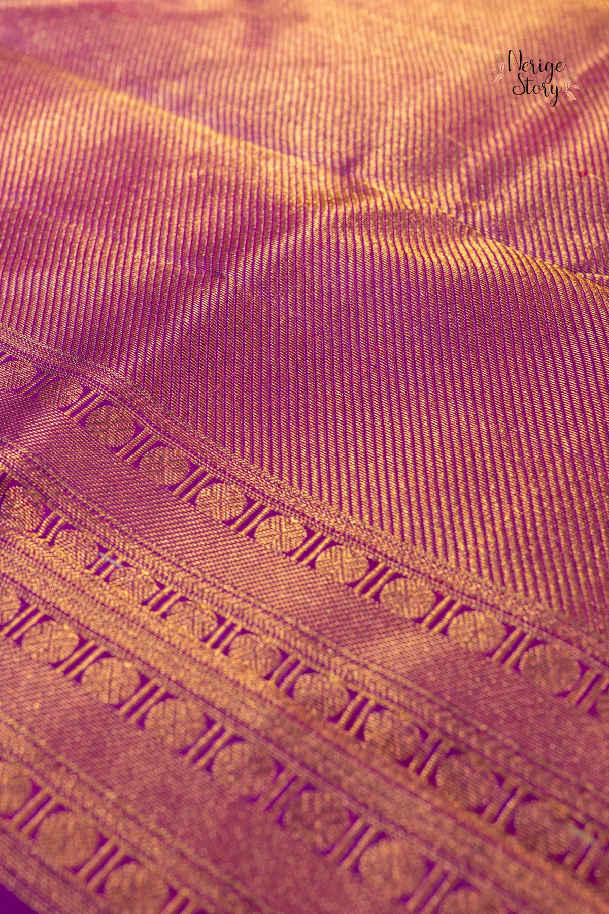 DIVYAJA (దివ్యజ)