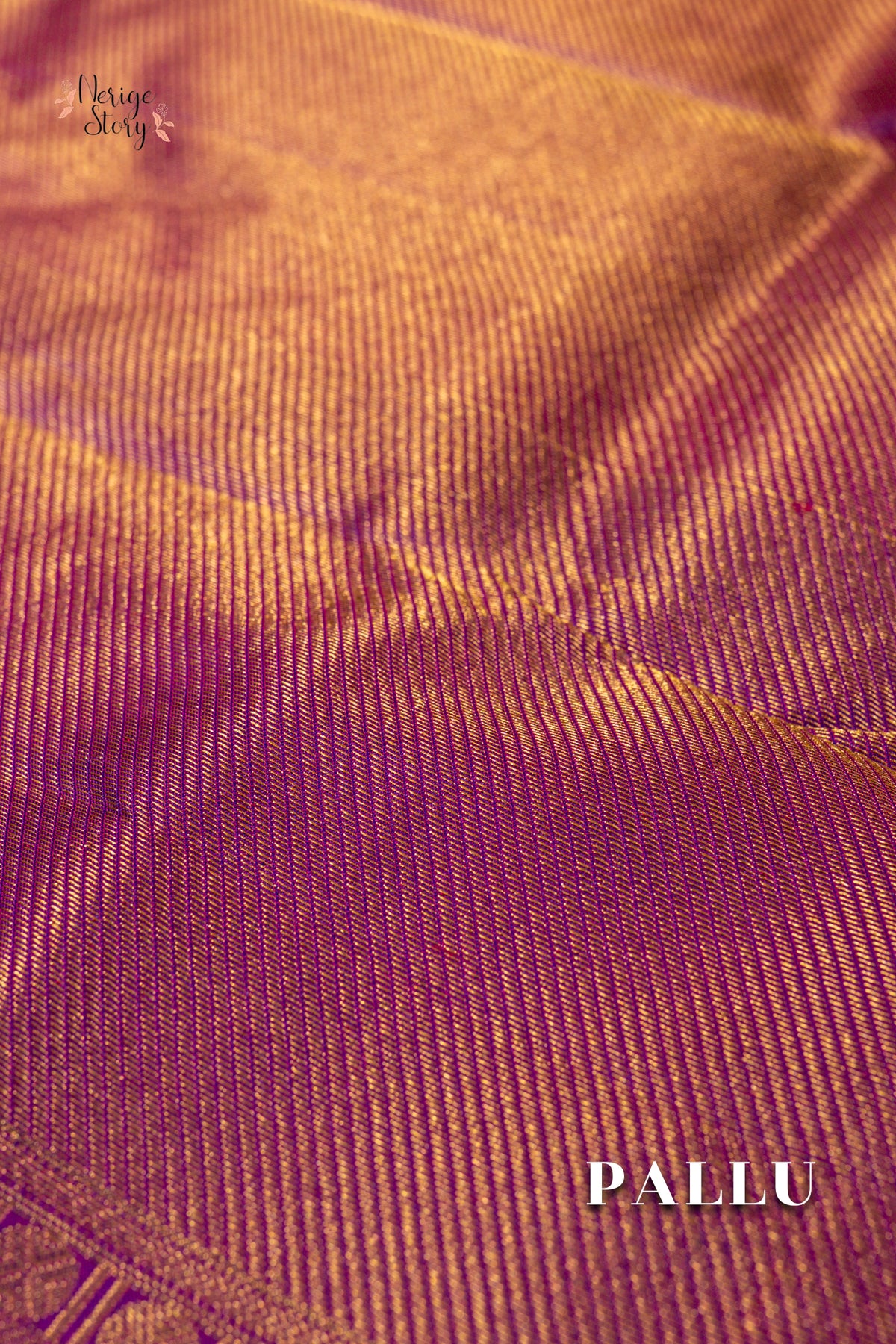 DIVYAJA (దివ్యజ)