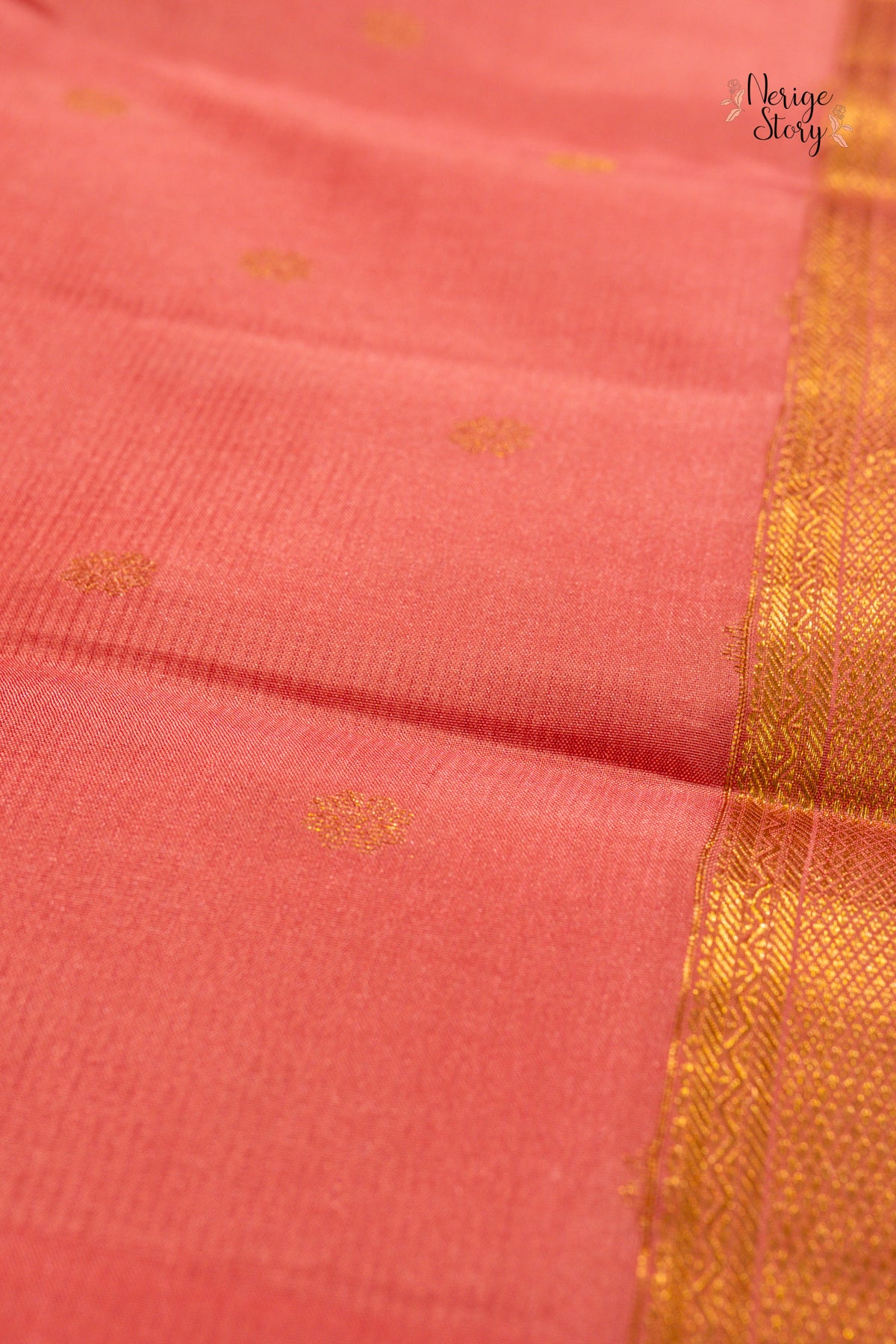 AVANISHA (అవనిష)