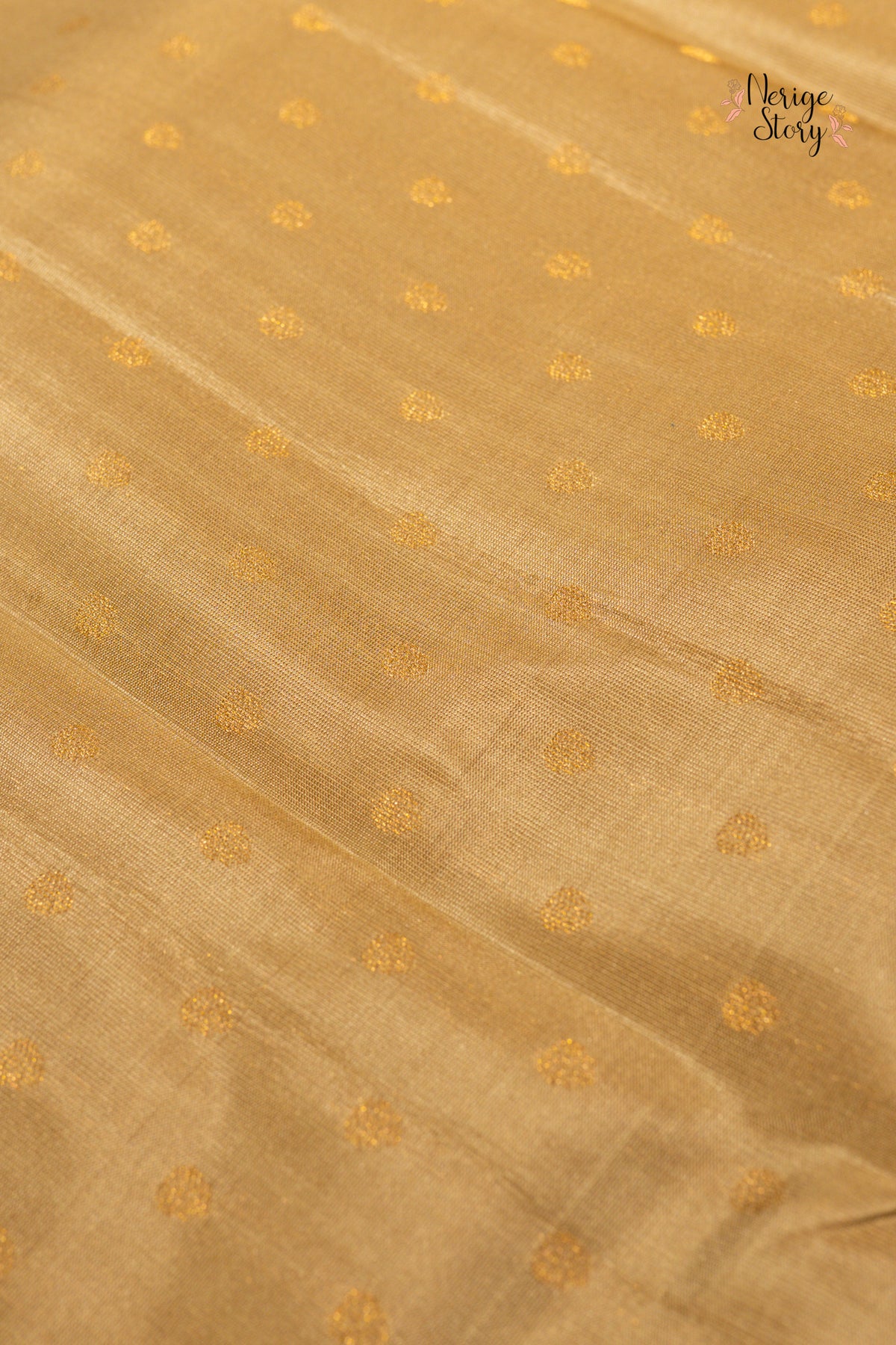HAMSINI (హంసిని)