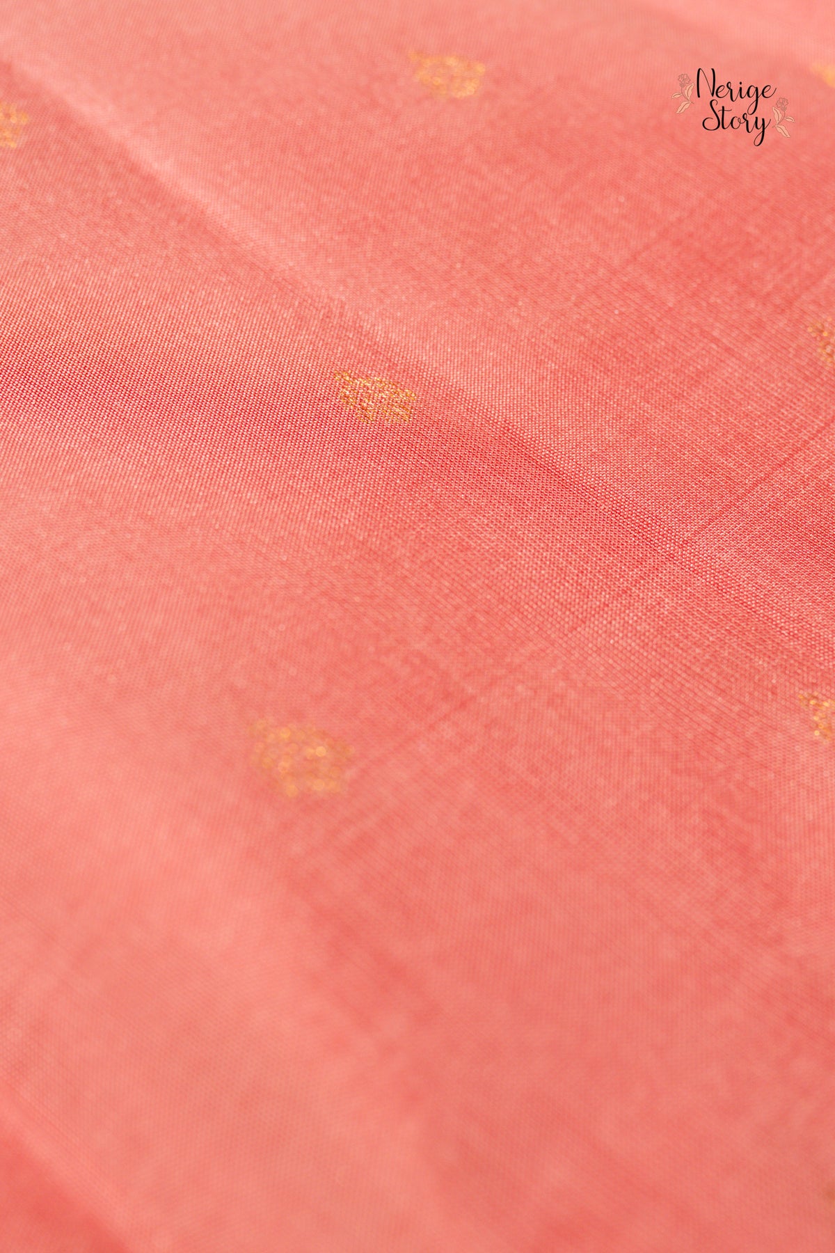 ARNI (ఆర్ణి)