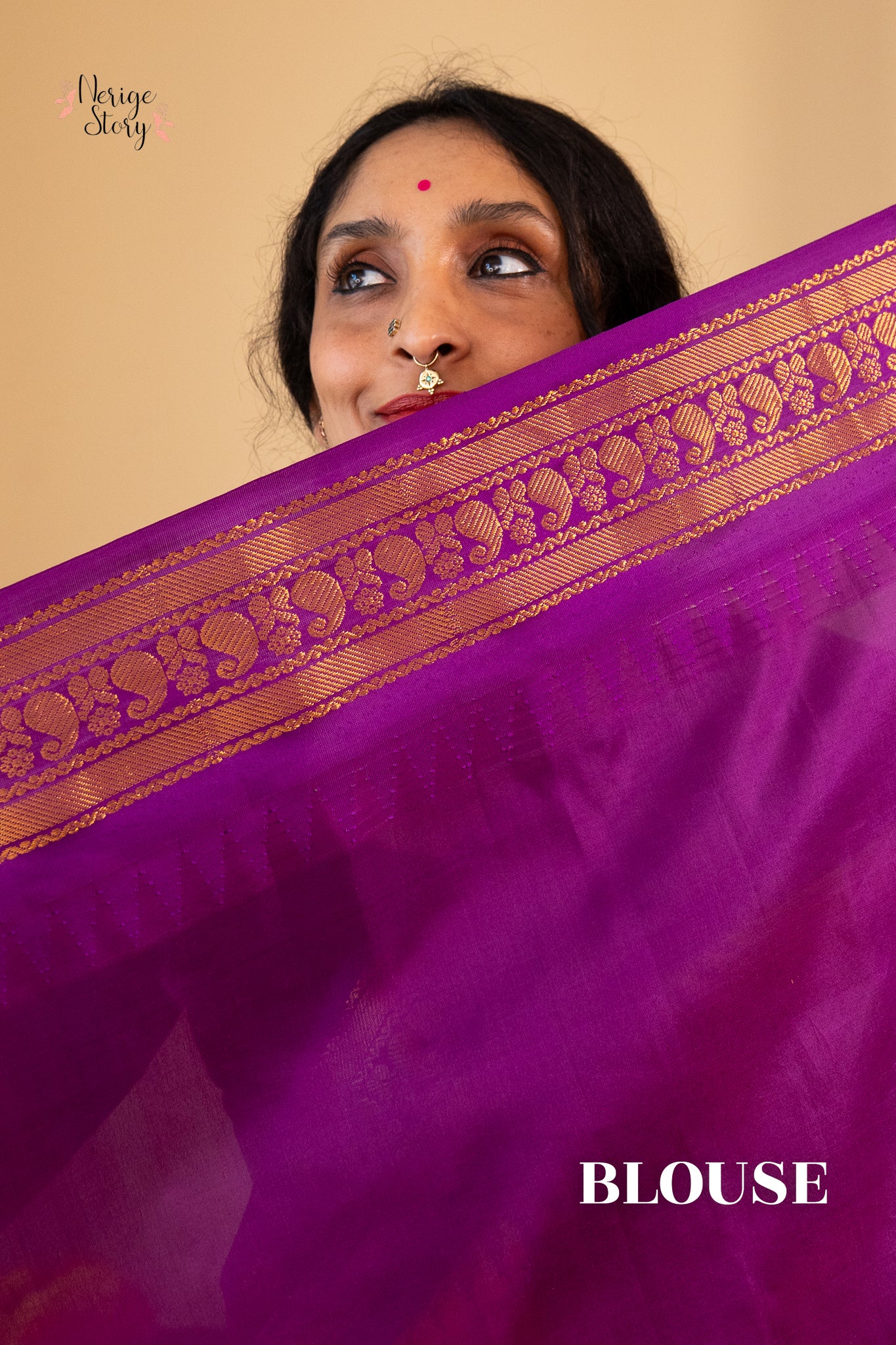 JAYAPRADA (జయప్రద)