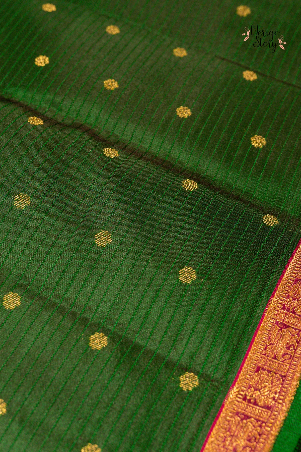 PARAVAI (பறவை)