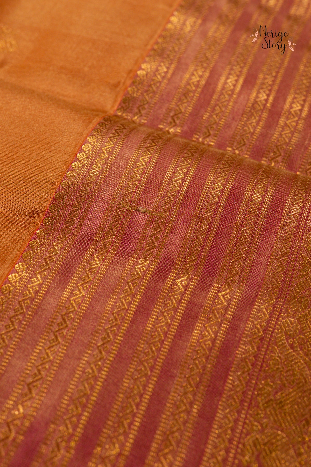 171. NISARGA (నిసర్గ)