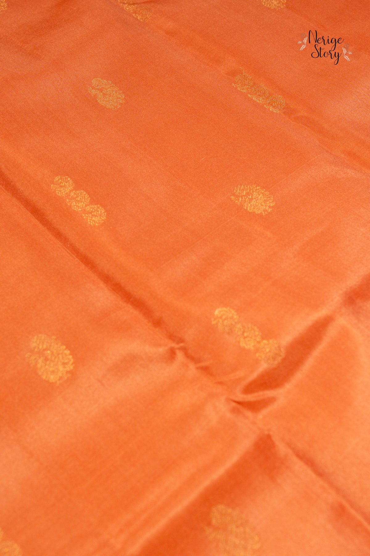 VIBHUTI (విభూతి)