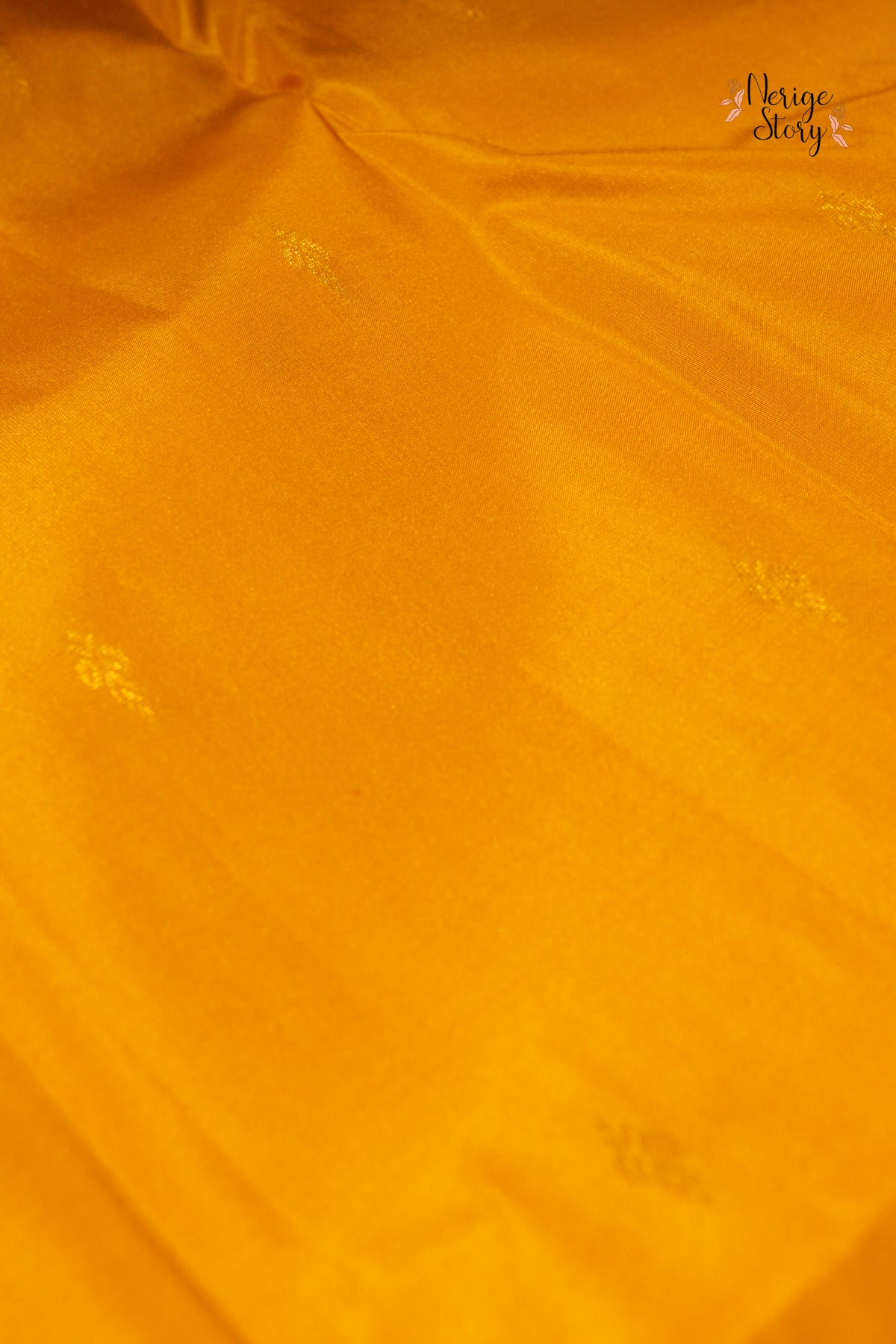 NEELAMAYURI (నీలమయూరి)