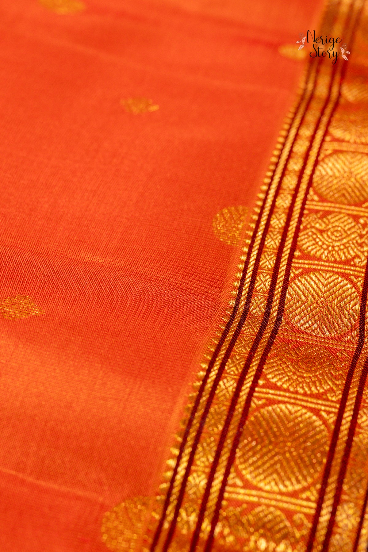 PAKSHIKA (பக்ஷிகா)