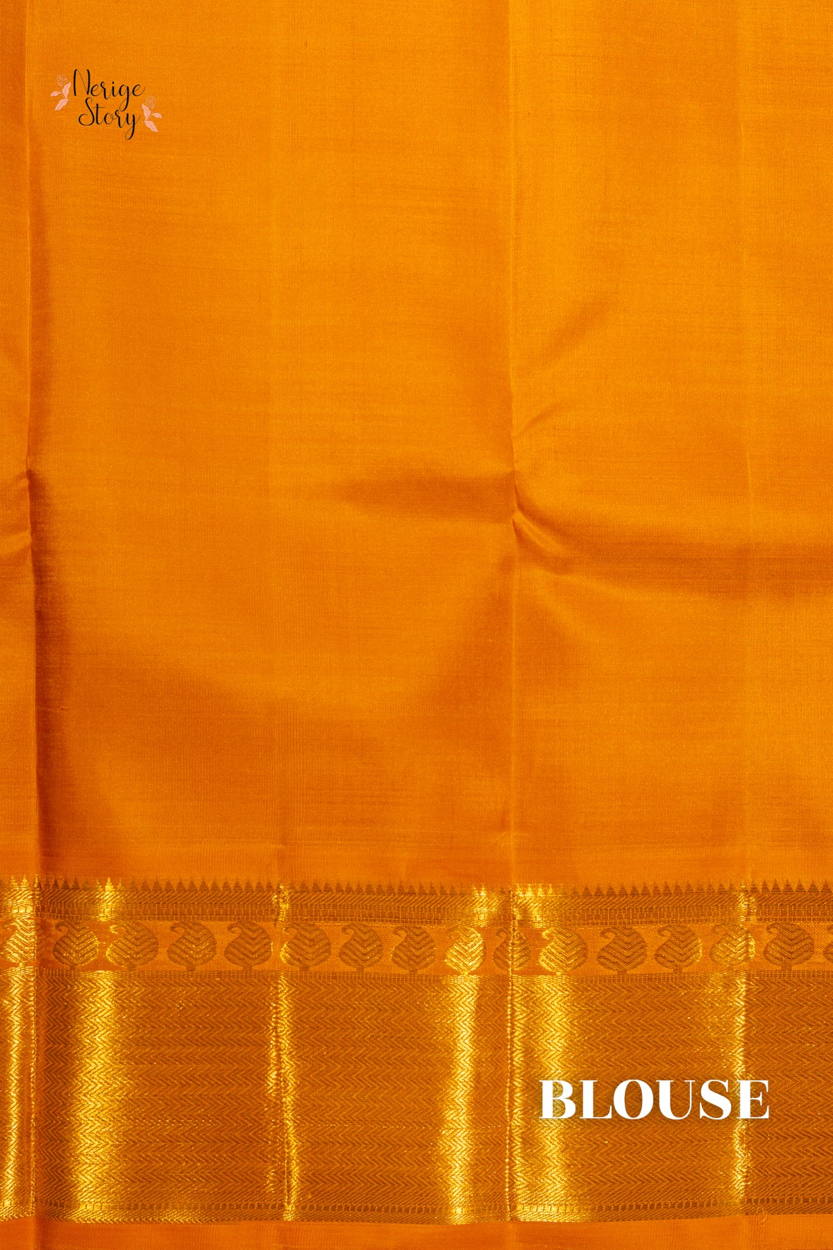AMARNA (అమర్ణ)