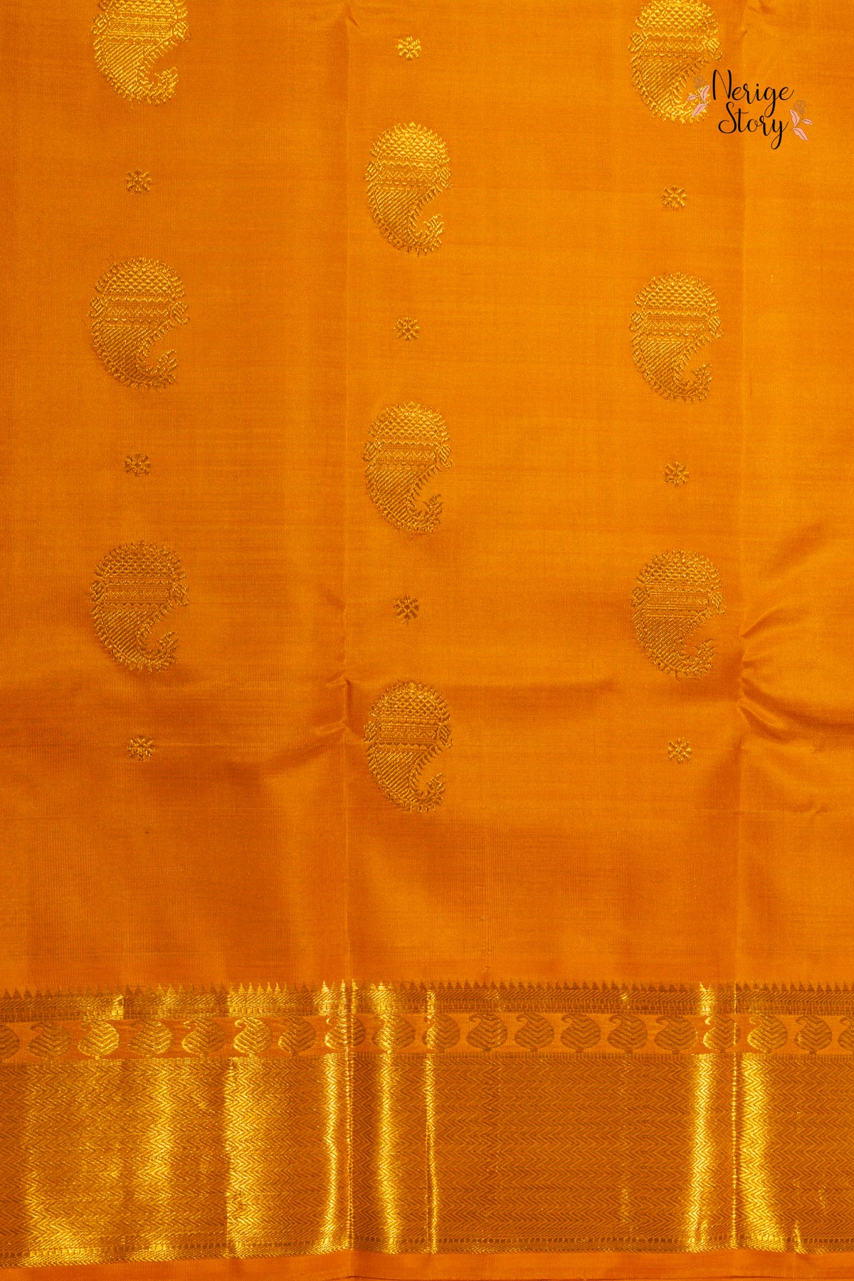 AMARNA (అమర్ణ)