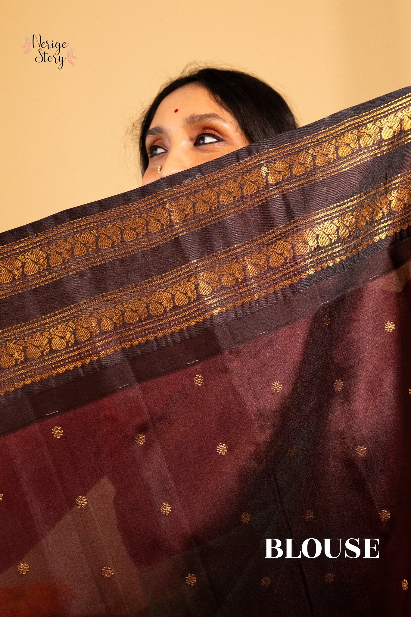 VEENAPANI (వీణాపాణి)
