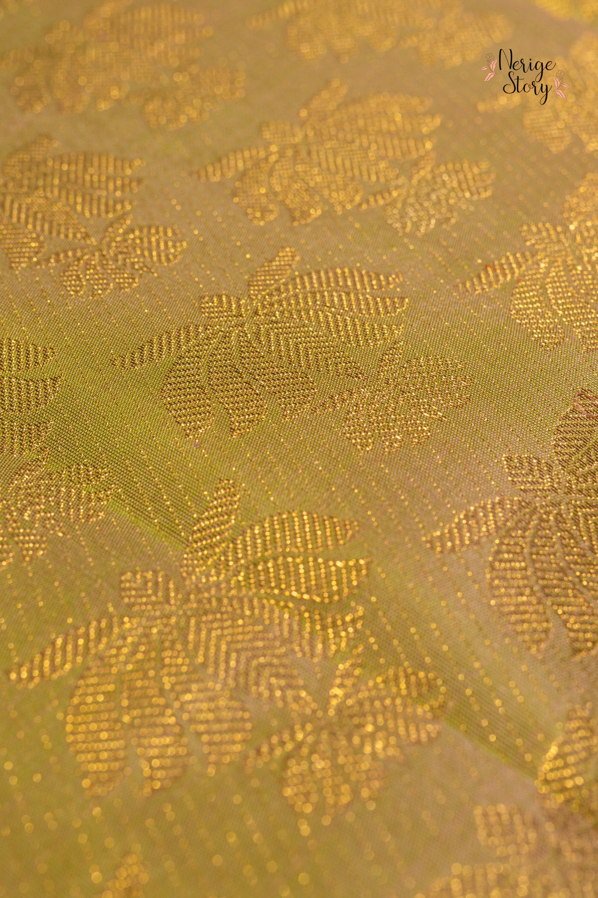 IVANA (ఇవాన)