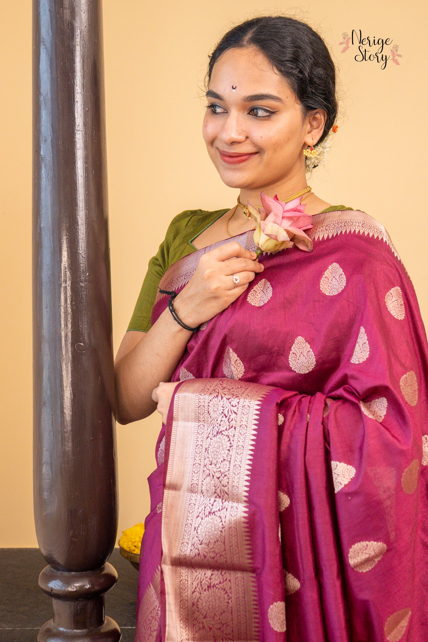 VINA (वीना)