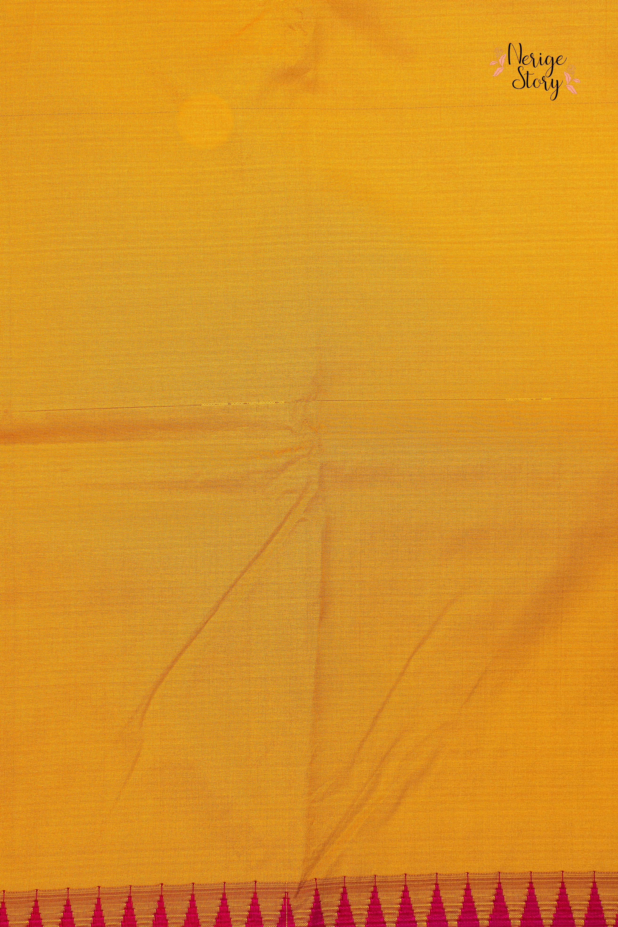 Saree - 24