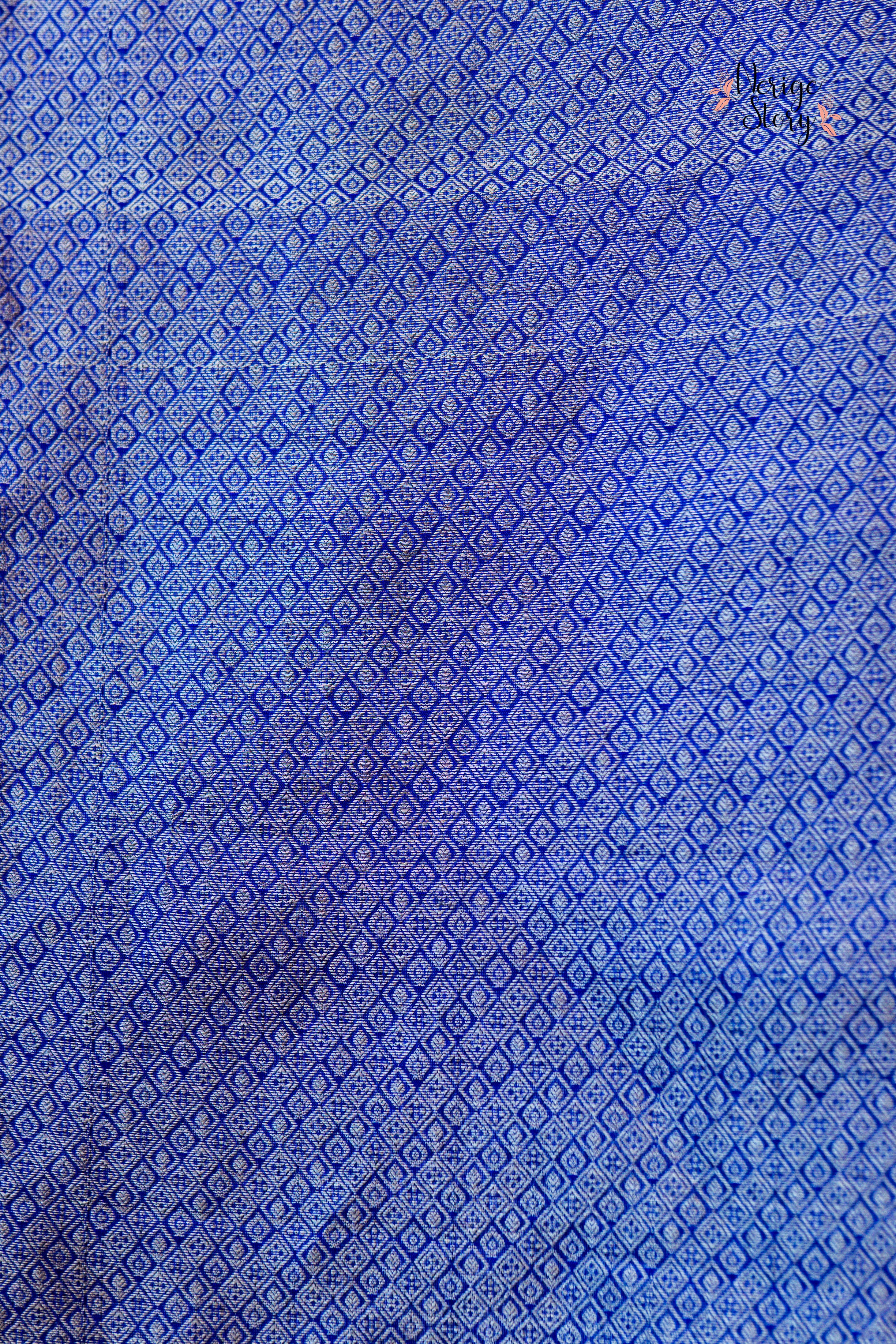 SHYENIMORIKA (శ్యేనిమోరికా)