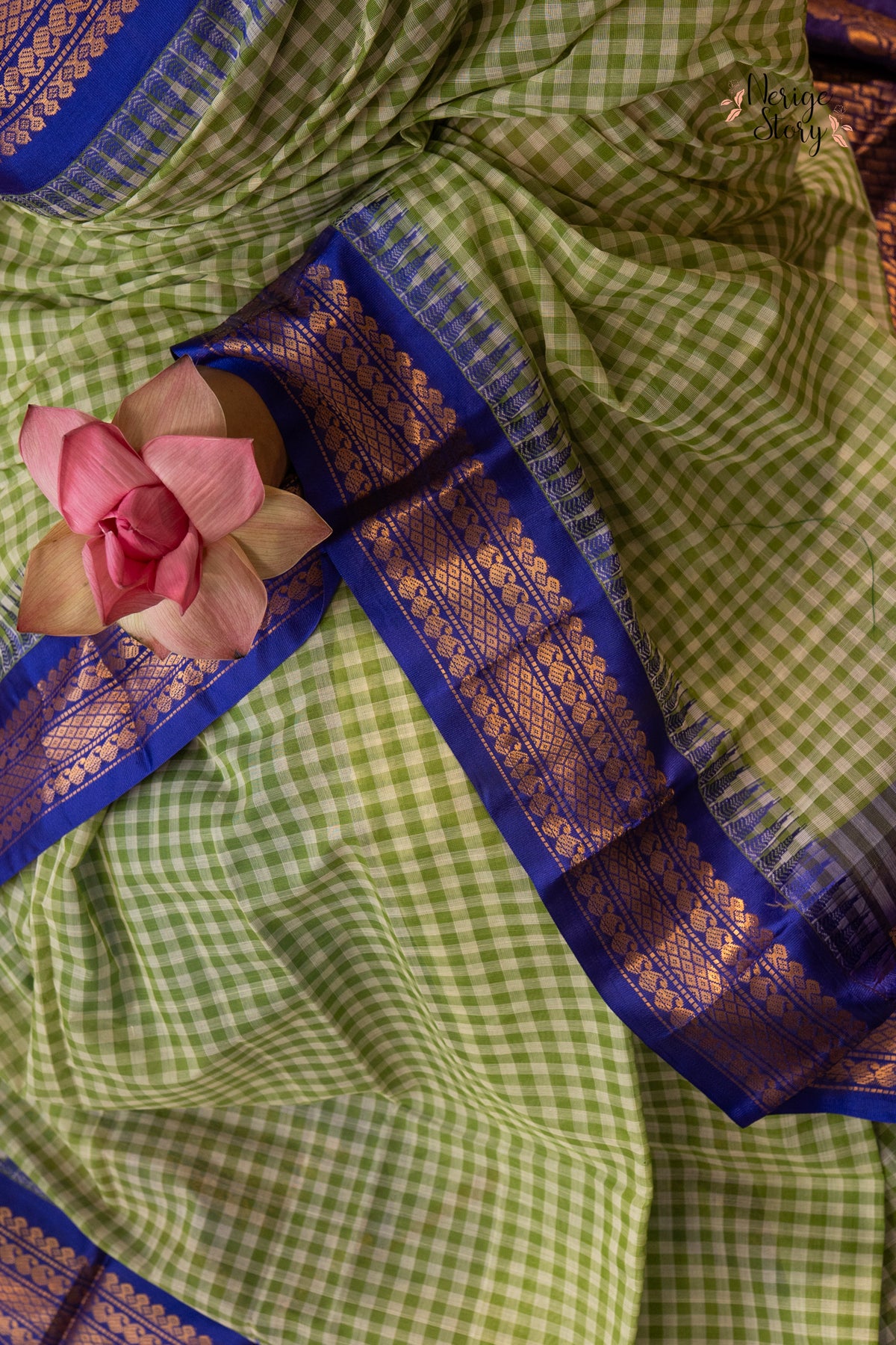 TANAAYA (తనాయ)