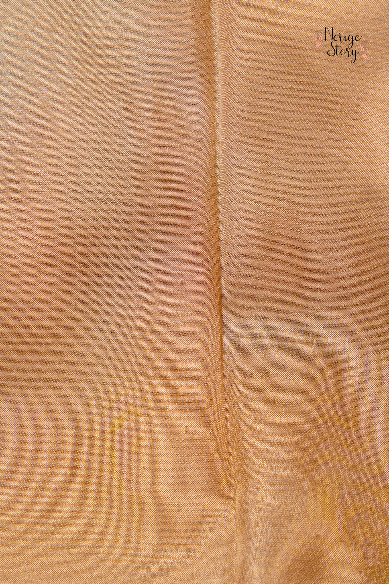 Saree - 67