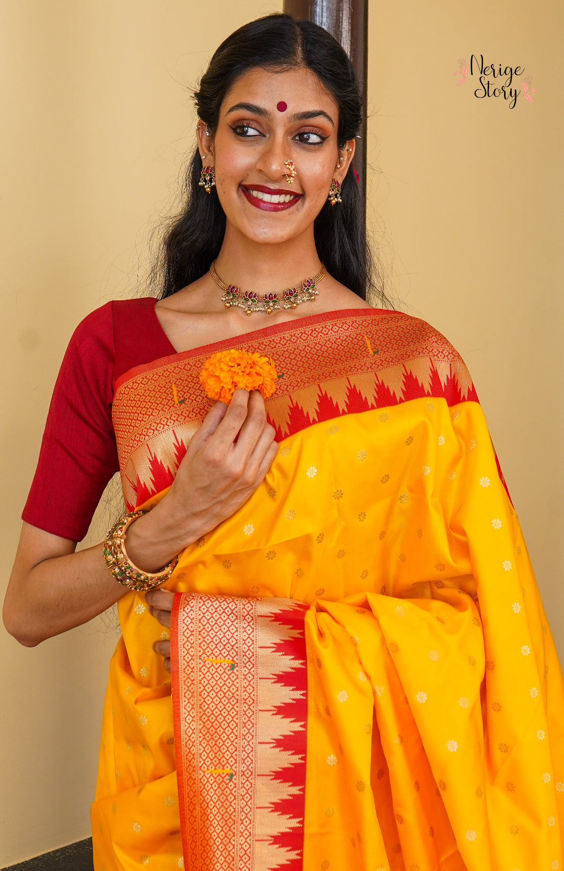 SANIKA (सानिका)