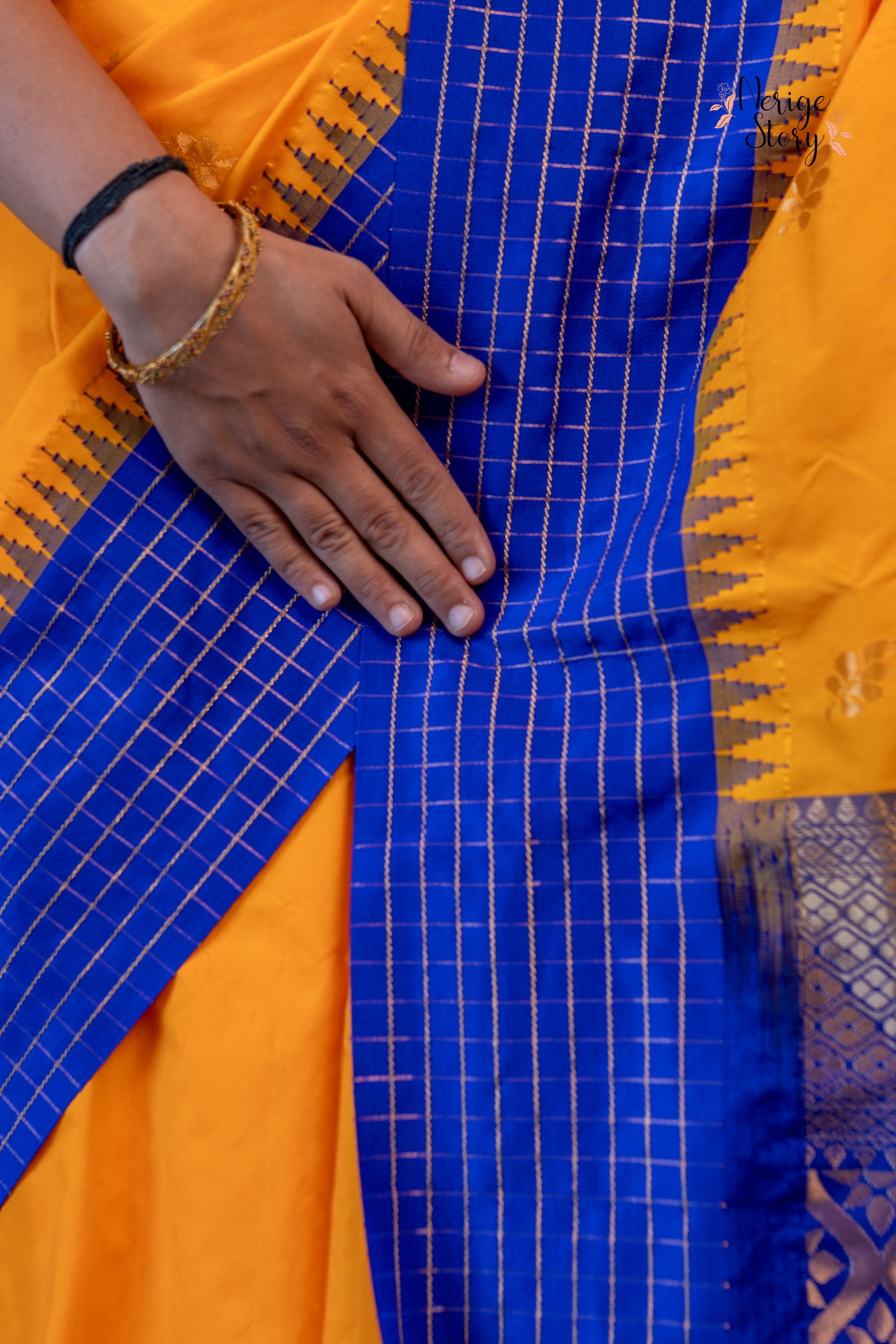 HANSINI (ಹಂಸಿನಿ)