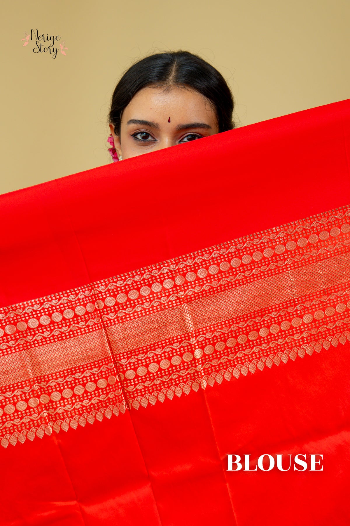 HASTHI (हस्ती)