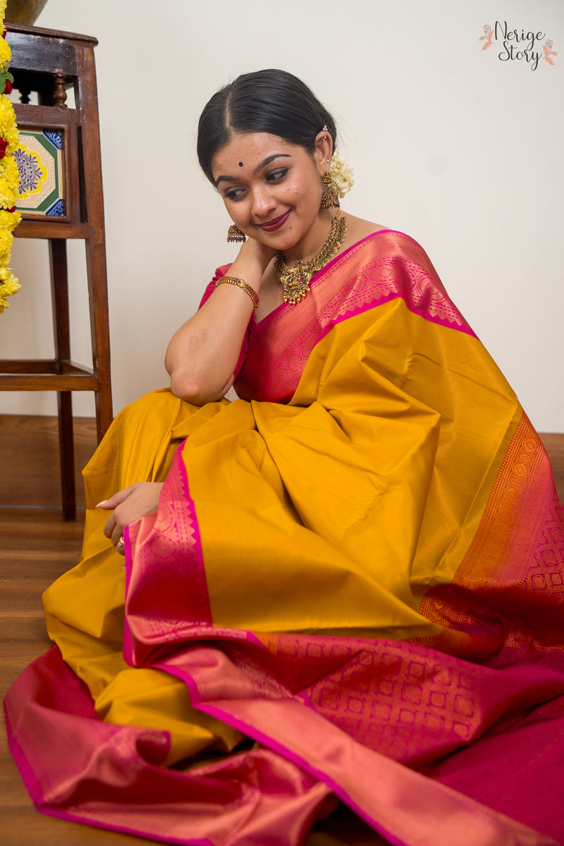 SIRAVIGA(सिरविगा)