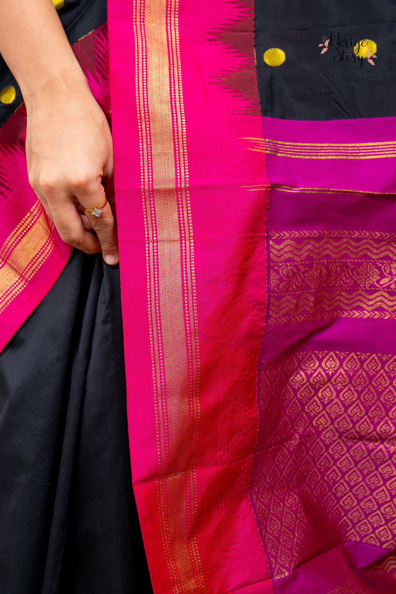 SARVANI (ಸರ್ವಾಣಿ)