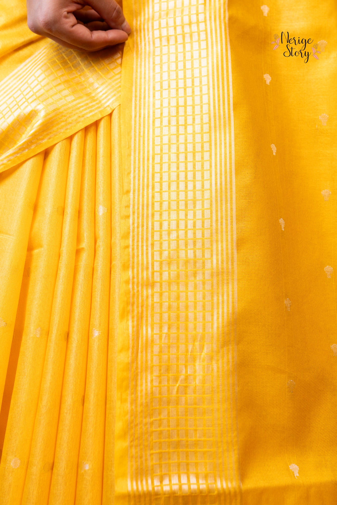 AVANI (अवनी)